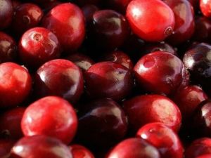 Große Frucht-Cranberry