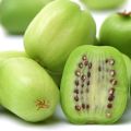 Mini Kiwi Jumbo