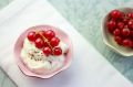 Porzeczka czerwona JONKHEER VAN TETS - krzew