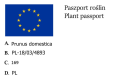 Śliwa CACANSKA NAJBOLIA