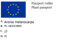 Aronia czarnoowocowa NERO
