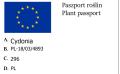 Pigwa Wielkoowocowa GRUSZKOWA