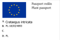 Głóg szkarłatny.png