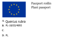 Dąb czerwony.png