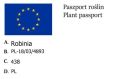 Akacja omszona ROBINIA SZCZECINIASTA