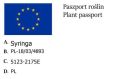 Lilak