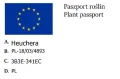żurawka.jpg