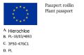 żubrówka wonna.jpg