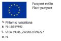 Żeleźniak.jpg