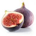 Figa Francesca