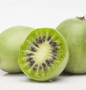 Mini-Kiwi VITIKIWI