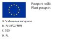 Jarzębina jadalna EDULIS
