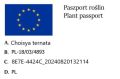 Czojsia trójlistkowa.jpg