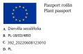Zadrzewnia krótkoogonkowa 'Butterfly'.jpg