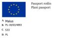 Jabłoń ozdobna