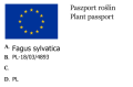 Buk pospolity ANNIEK