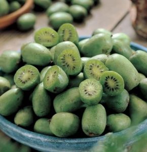 Kiwi ISSAI