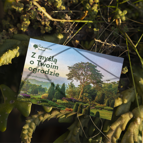 Voucher im Wert von 200 PLN (1)