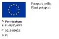 rozplenica.jpg