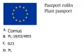 Dereń