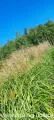 drugi oddechh.jpg