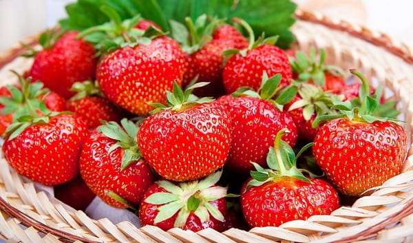 Truskawka najsmaczniejsza POLKA