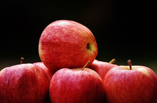 Apfelbaum GALA – süß und aromatisch